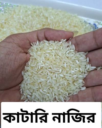 Katari Nazir/ কাটারি নাজির চাল